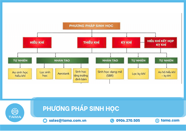 Xử lý nước thải bằng phương pháp sinh học 
