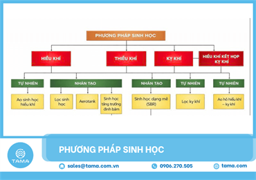 Xử lý nước thải bằng phương pháp sinh học 