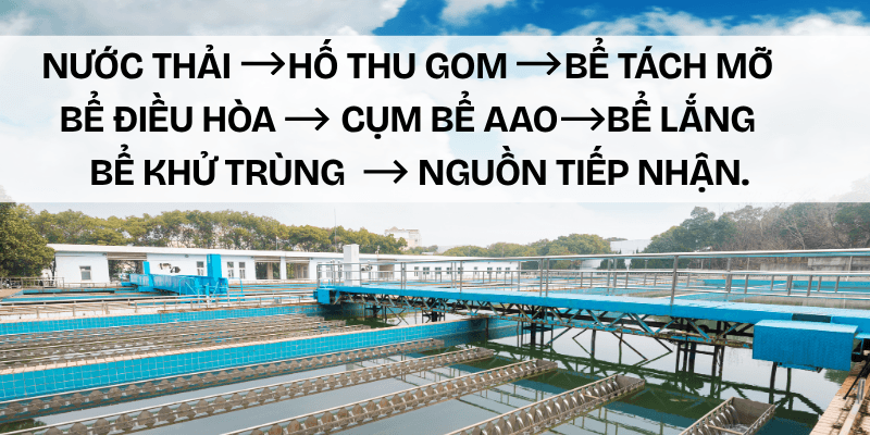 quy trình xử lý nước thải y tế
