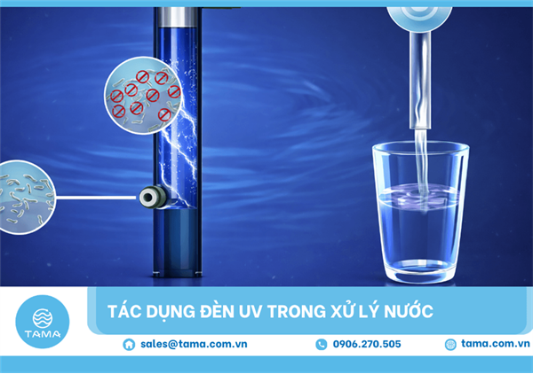 Tác dụng đèn Uv trong xử lý nước: Nguyên Lý, Hiệu Quả Và Ứng Dụng Diệt Khuẩn 