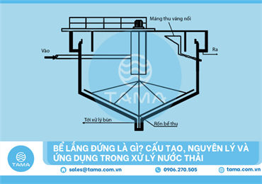 Bể lắng đứng là gì? Cấu tạo, nguyên lý và ứng dụng trong xử lý nước thải